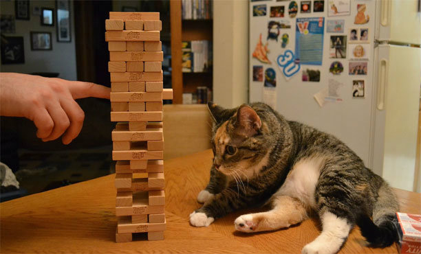 คลิปน่ารักๆ น้องแมวเล่น Jenga