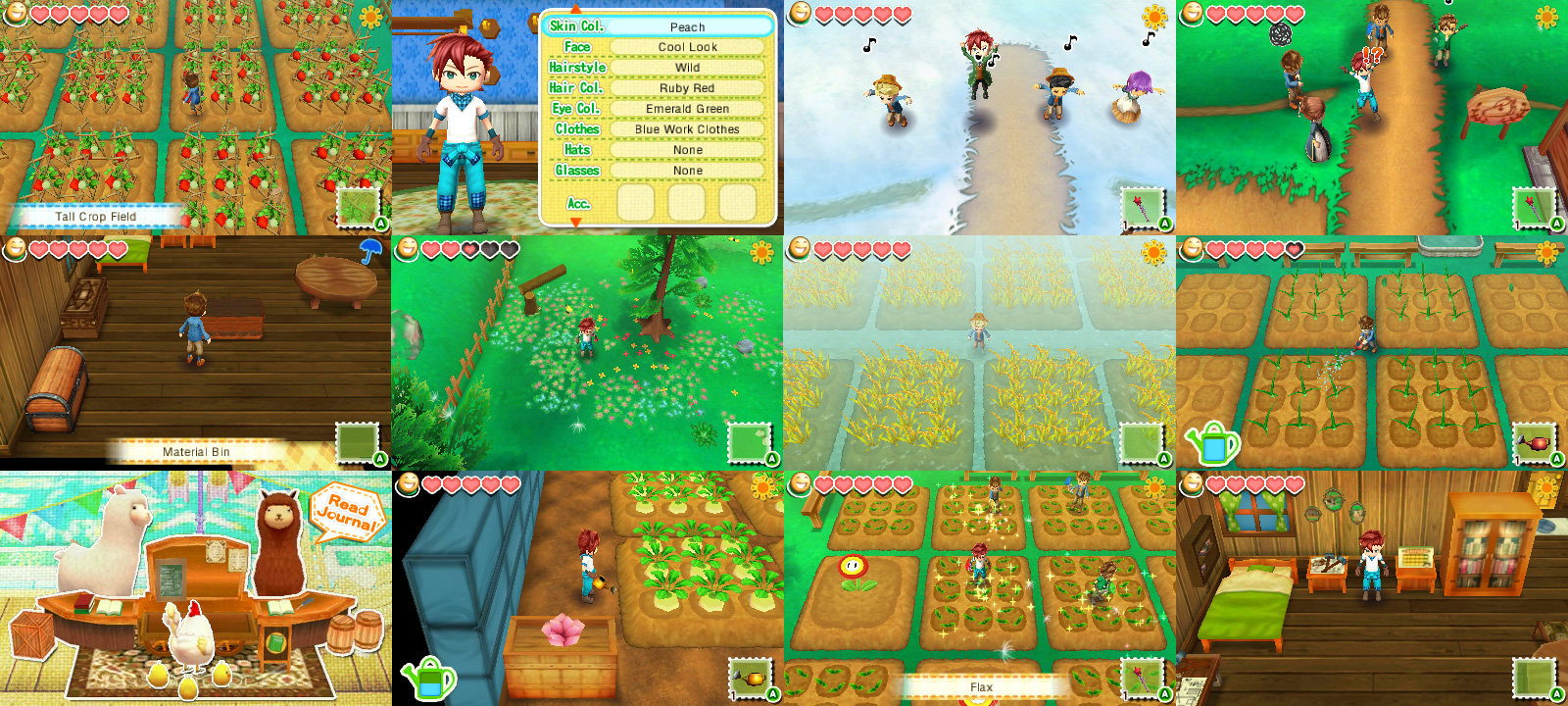 Story of Seasons