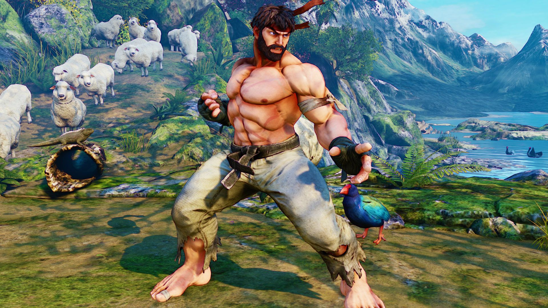 Street Fighter V