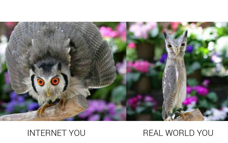Internet You Vs. the Real You