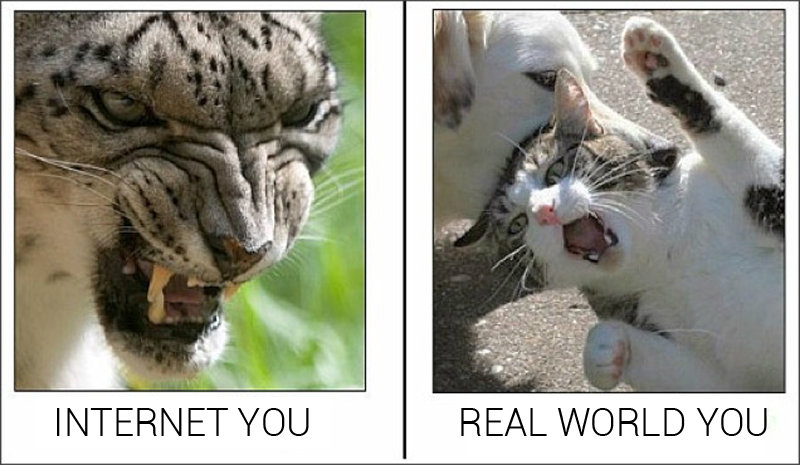 Internet You Vs. the Real You