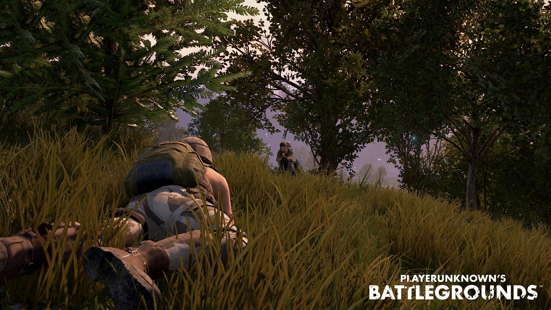 Battlegrounds
