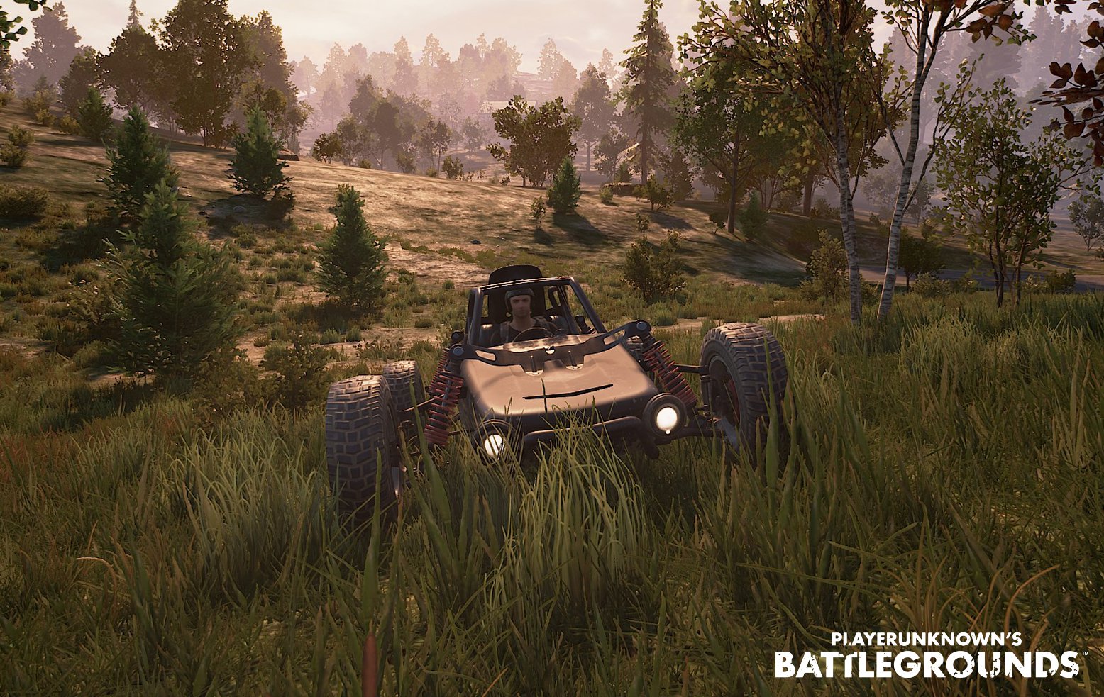 Battlegrounds