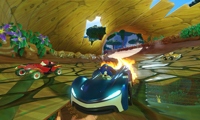 Sega เลื่อนวางจำหน่าย Team Sonic Racing ไป พฤษภาคม 2019 เเทน