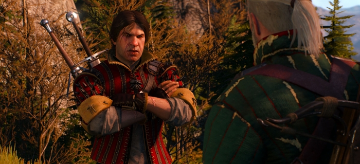 the-witcher(2)