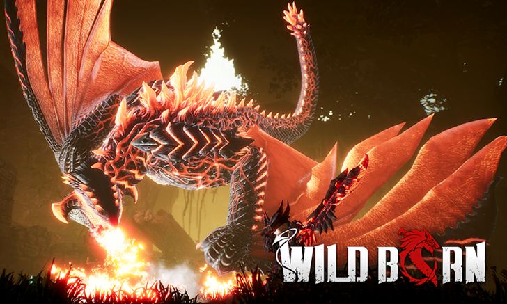 ระเบิดรังมังกร WildBorn เปิดให้บริการแล้วทั้งสองสโตร์ในประเทศเกาหลี