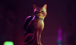 [รีวิว] Stray น้องแมวพเนจรในโลกไร้อนาคต