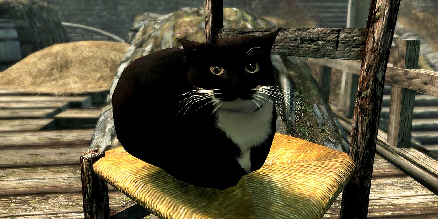 maxwell-the-cat-mod-skyrim-wh