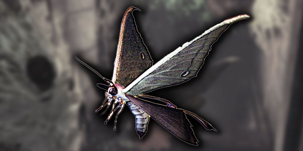 moth-resident-evil-code-veron