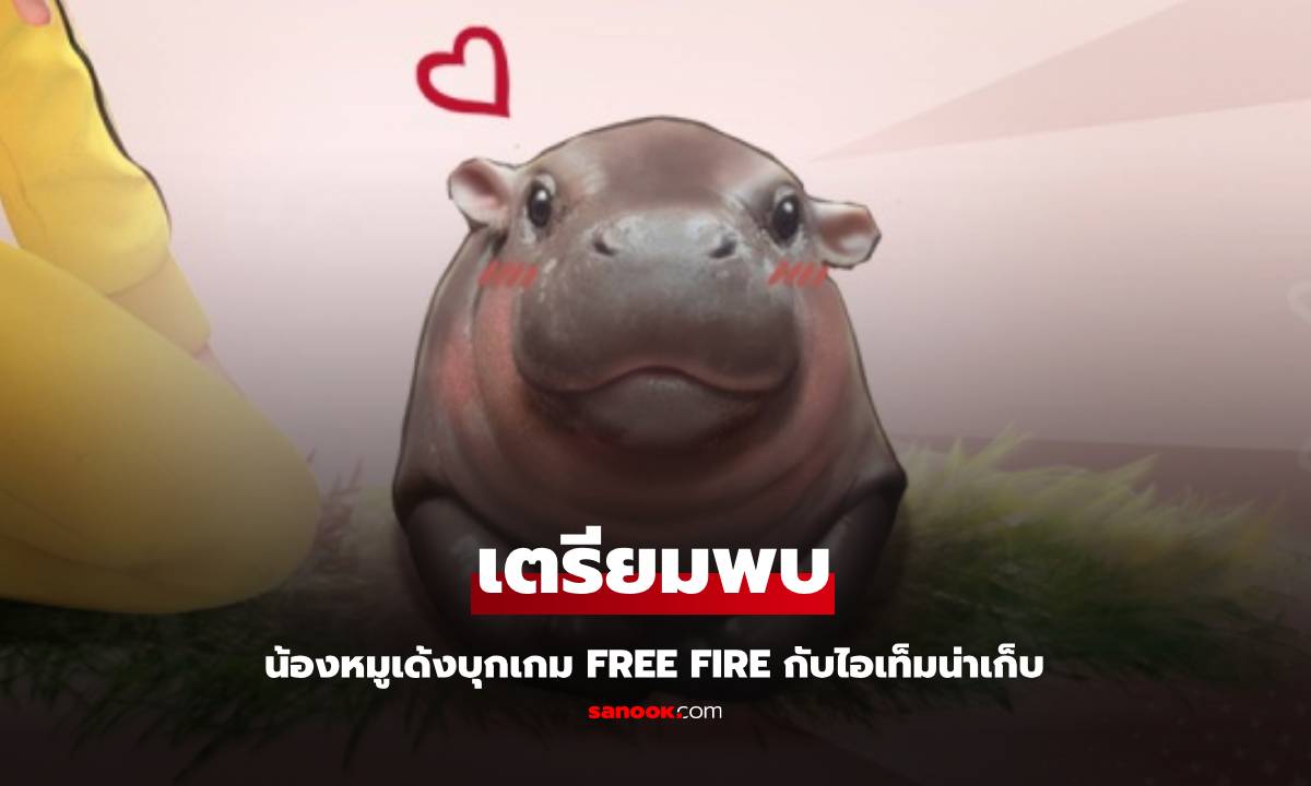 "หมูเด้ง" ฮิปโปน้อยสุดฮอต บุก Free Fire! แจกไอเทมฟรี เอาใจเกมเมอร์ทั่วโลก