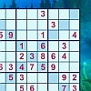 เกมส์คาสิโน Sudoku X