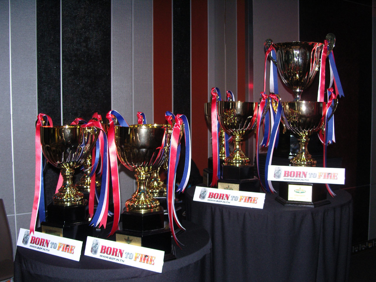 Winner Online เปิดตัวเกมส์ Born to Fire เป็นทางการ