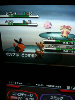 Pokemon Black & White พร้อมข้อมูลใหม่มากมาย