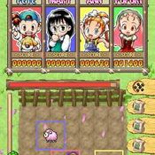 <b>Puzzle de Harvest Moon</b> [Preview]