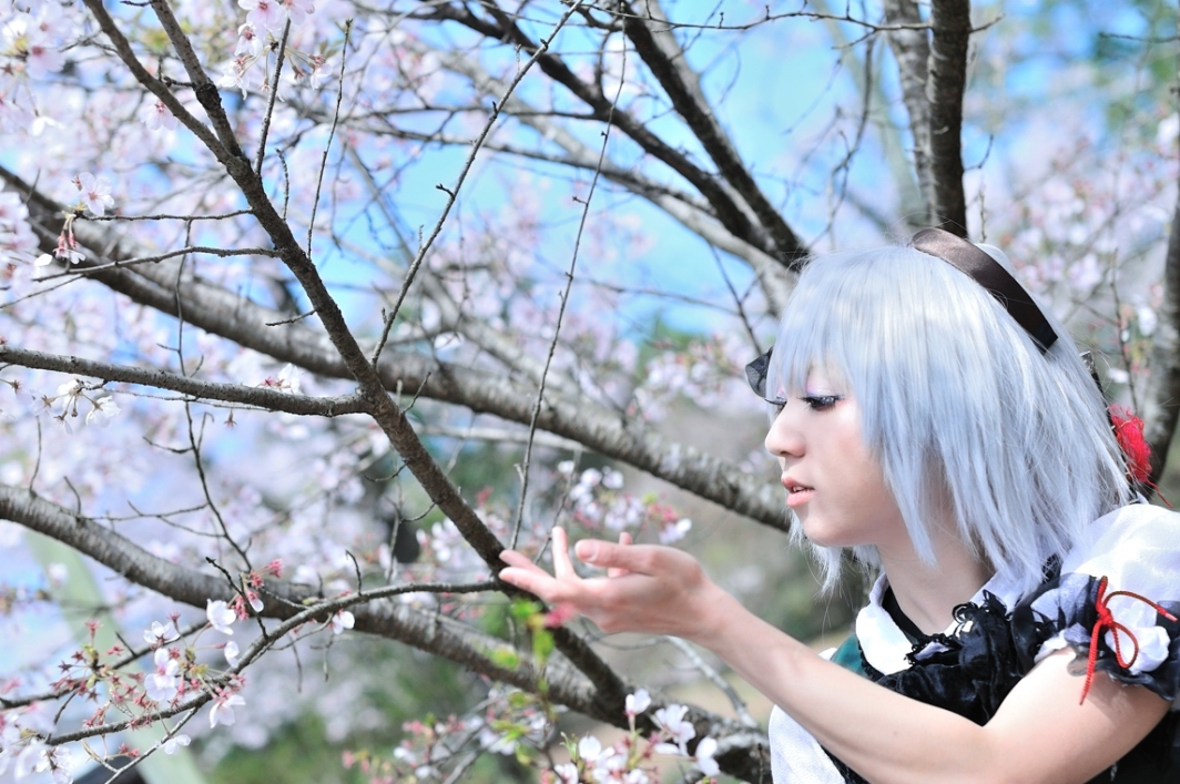 สาวคอสเพลย์จากการ์ตูนเรื่อง Touhou Project