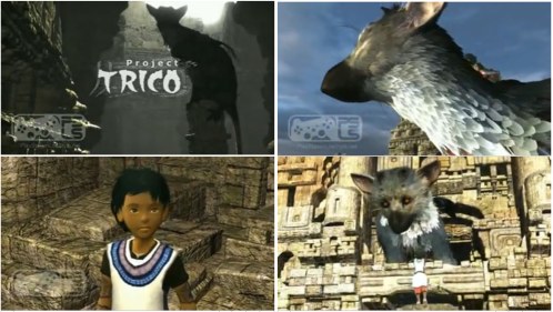 Video: ด่วน! เปิดตัวแล้วกับ Project TRICO