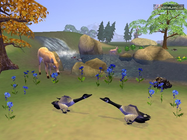 เกมส์ SimAnimals