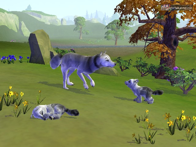 เกมส์ SimAnimals