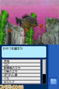 Aquarium DS [Preview]