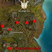 Guild Wars: Blacktide Den Mission [Detail]