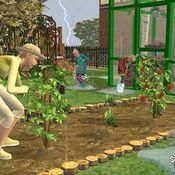 The Sims2: Seasons [Preview]