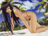 Dead or Alive Xtreme 2 [News]