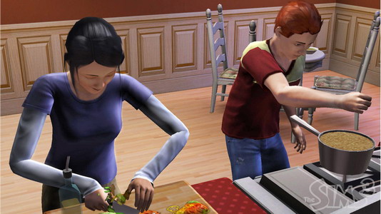 เกมส์ The Sims 3