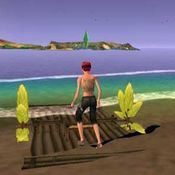 <b>The Sims 2: Castaway</b>