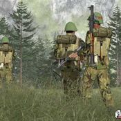 <b>Armed Assault: Combat Operations</b>