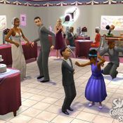 <b>The Sims 2 Celebration Stuff</b>