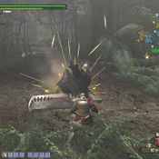 Monster Hunter Frontier Online