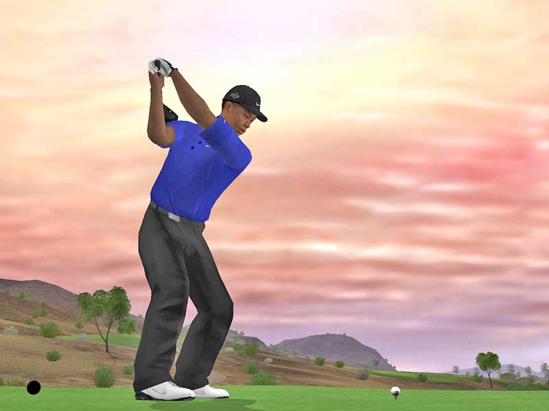 Tiger Woods PGA Tour 07