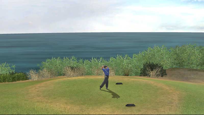 Tiger Woods PGA Tour 07