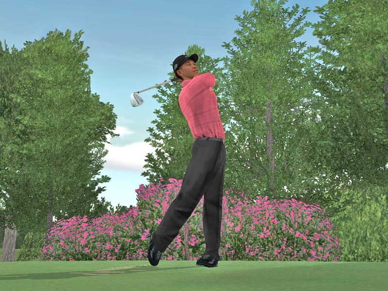 Tiger Woods PGA Tour 07