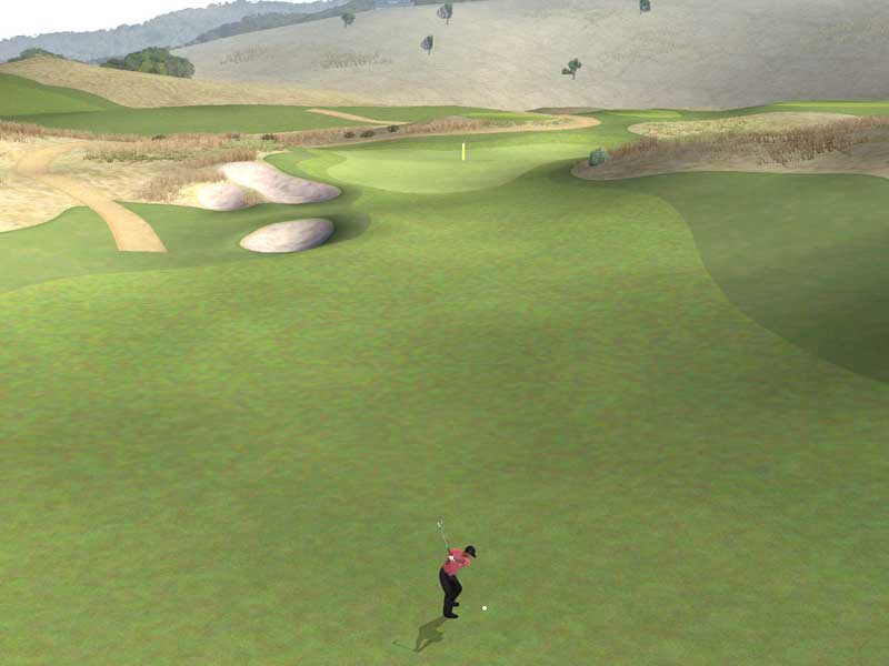 Tiger Woods PGA Tour 07