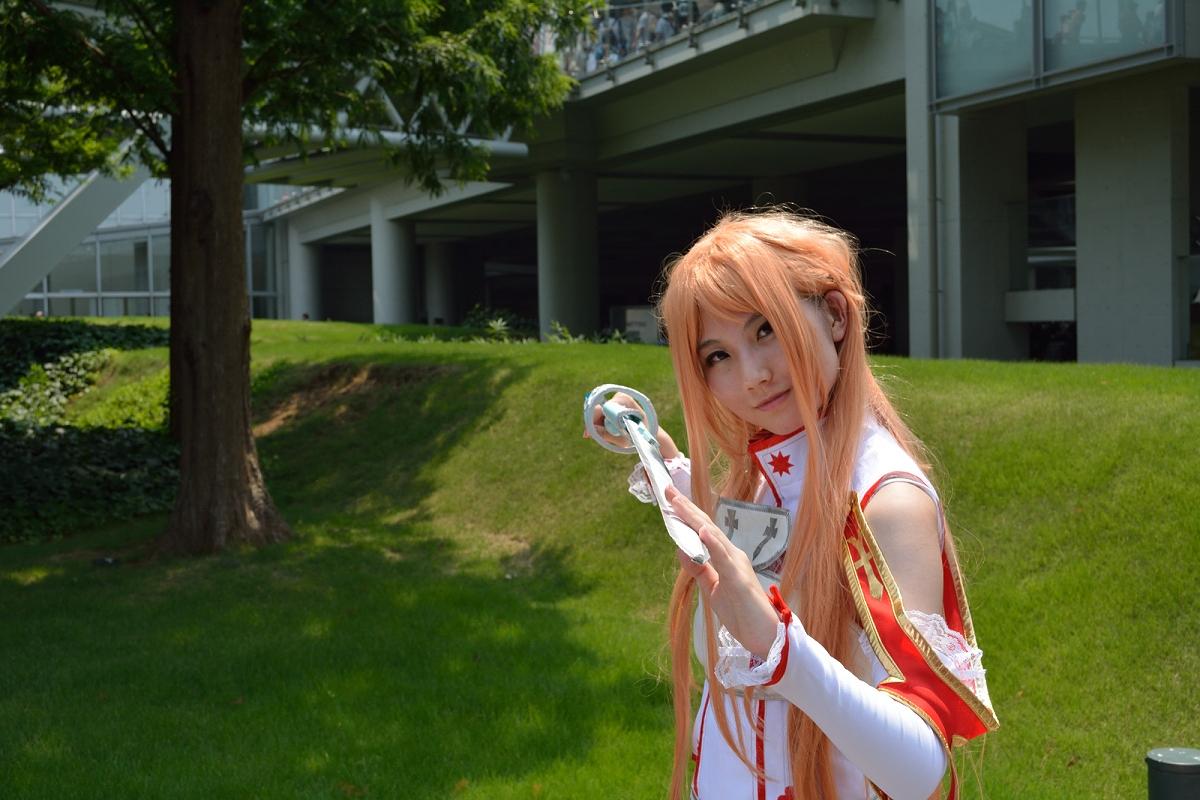 Comiket 84