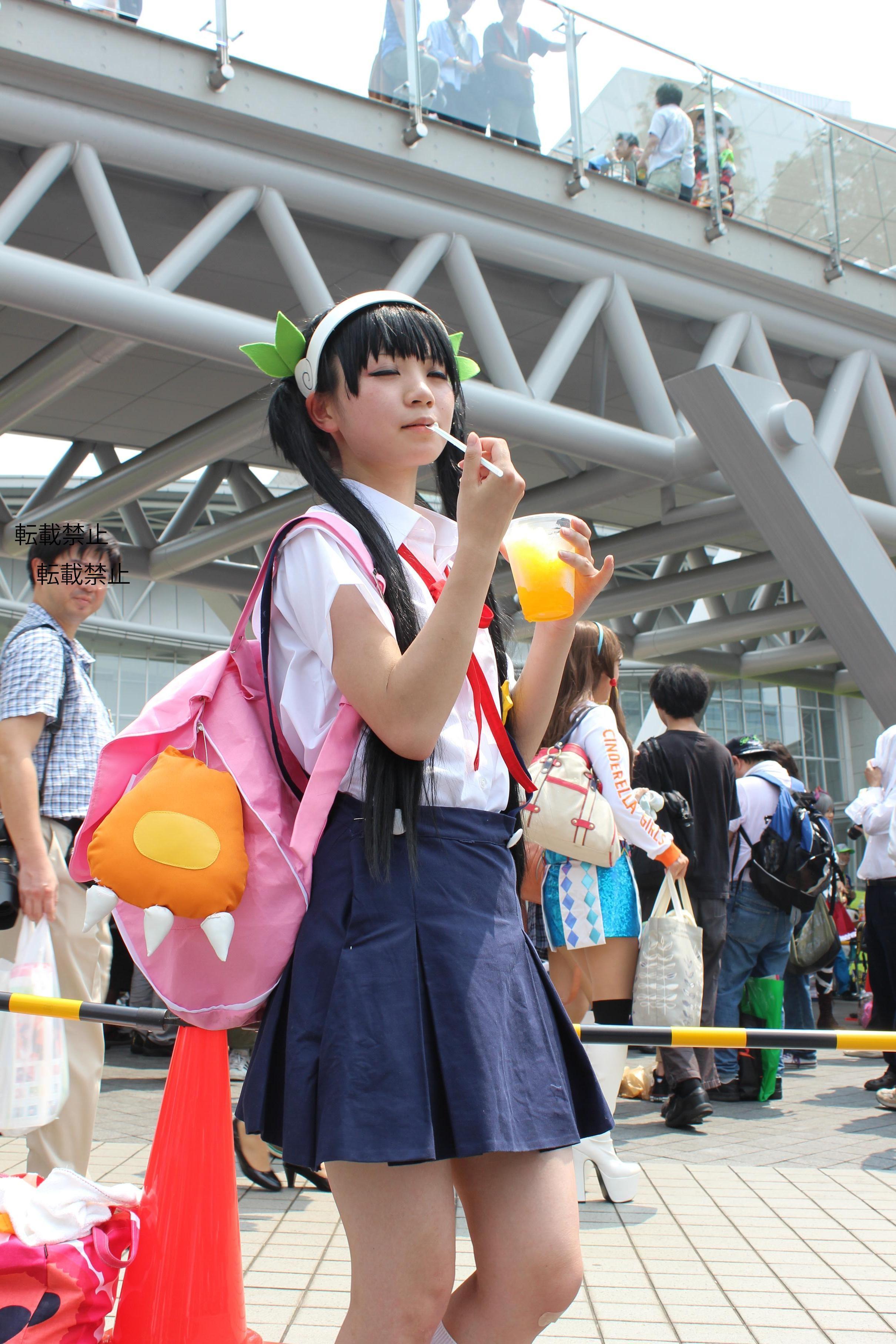 Comiket 84