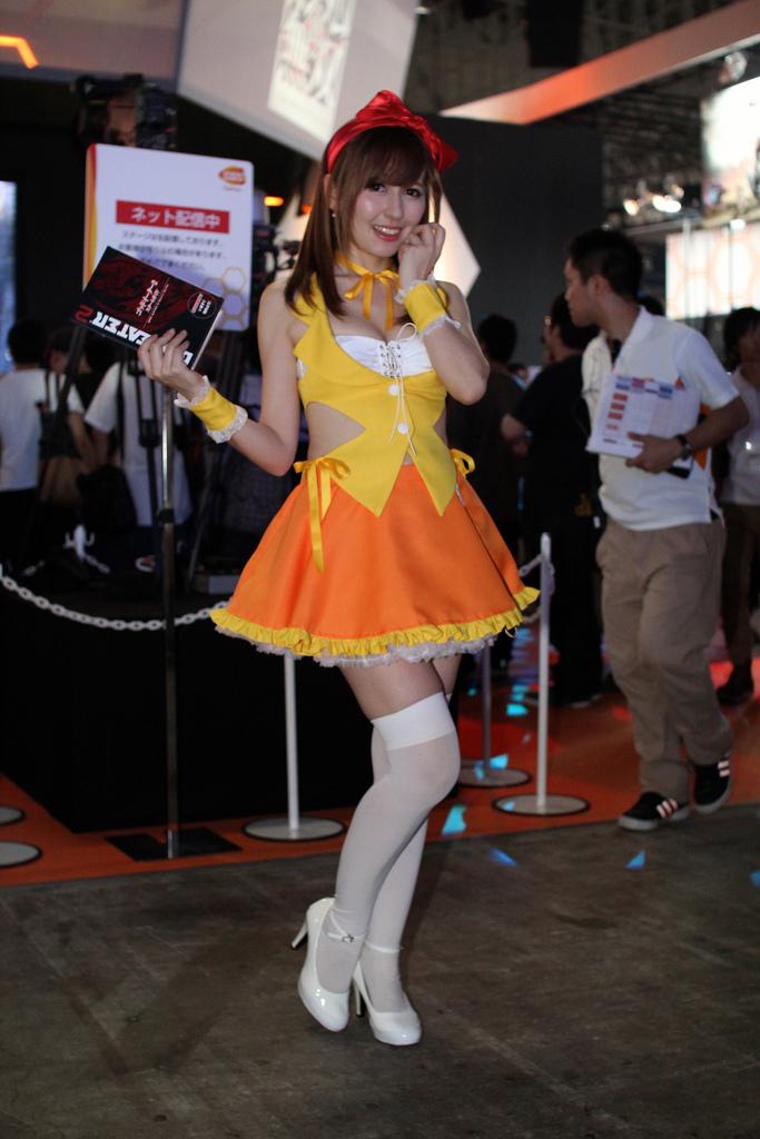 Tokyo Game Show 2013