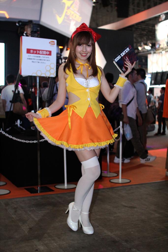 Tokyo Game Show 2013