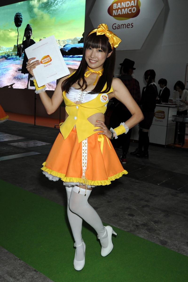 Tokyo Game Show 2013