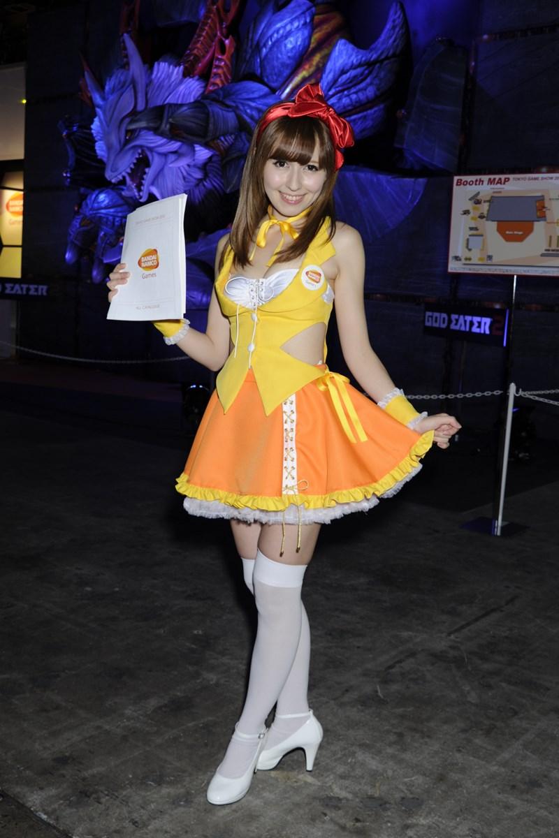 Tokyo Game Show 2013