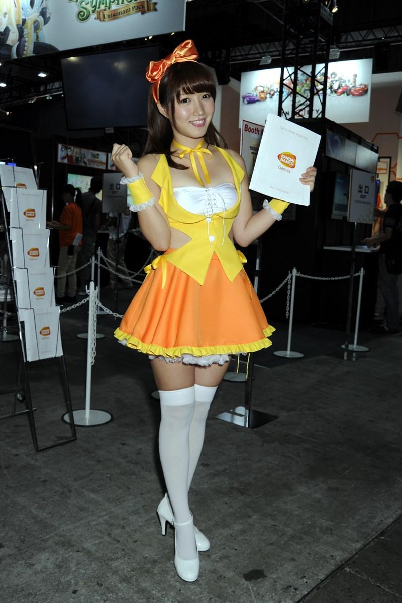 Tokyo Game Show 2013