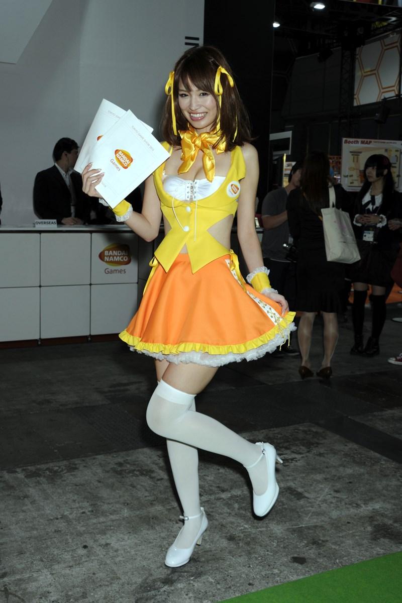 Tokyo Game Show 2013