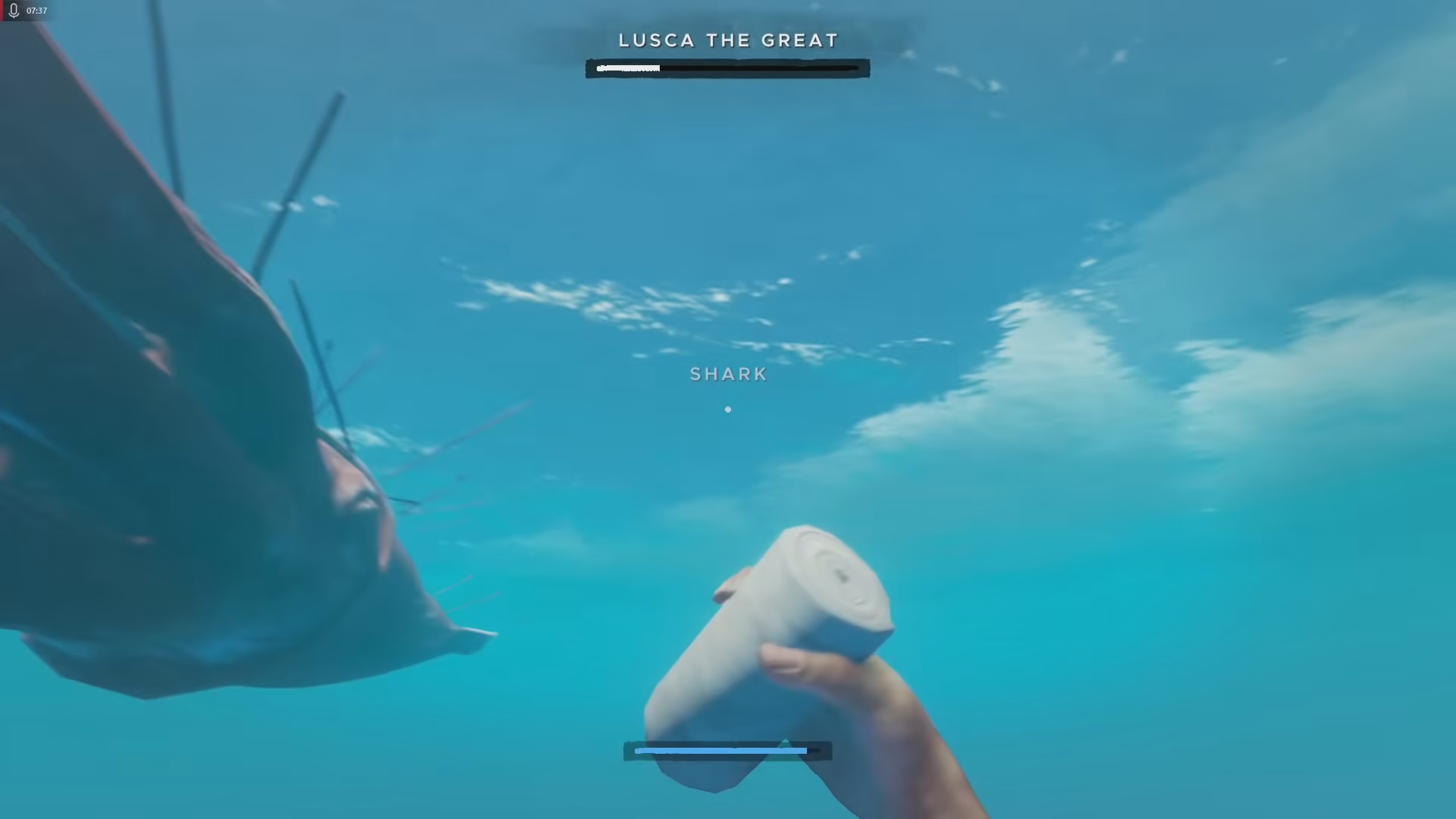 เกม Stranded Deep