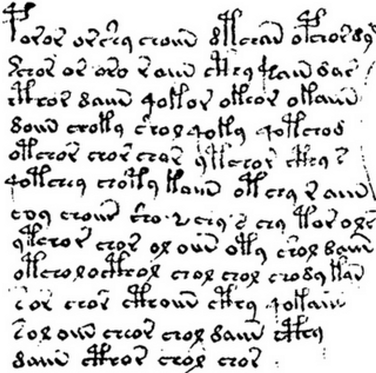 copy of the voynich manuscript