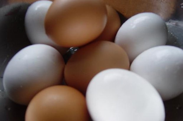 ไข่เป็ด ไข่ไก่ ประโยชน์ที่แตกต่าง (คืออะไร หมายถึง ความหมาย) - Sanook!  พีเดีย