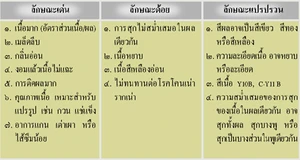 ลักษณะเด่น ลักษณะด้อย และลักษณะแปรปรวนของทุเรียนพันธุ์การค้า