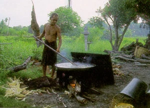 การเลี้ยงหมูในประเทศไทย