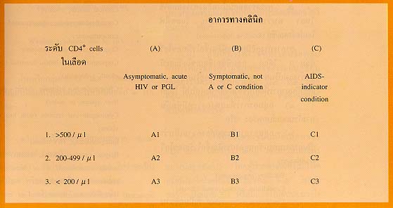 คลิกชมภาพต่อไป