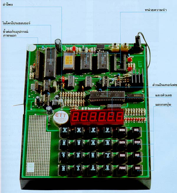 My Image 5